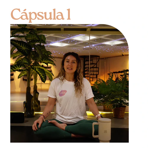 capsula 1