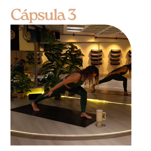capsula 3