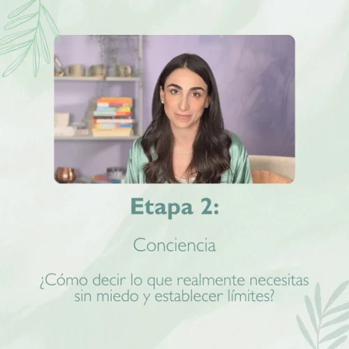 etapa 2